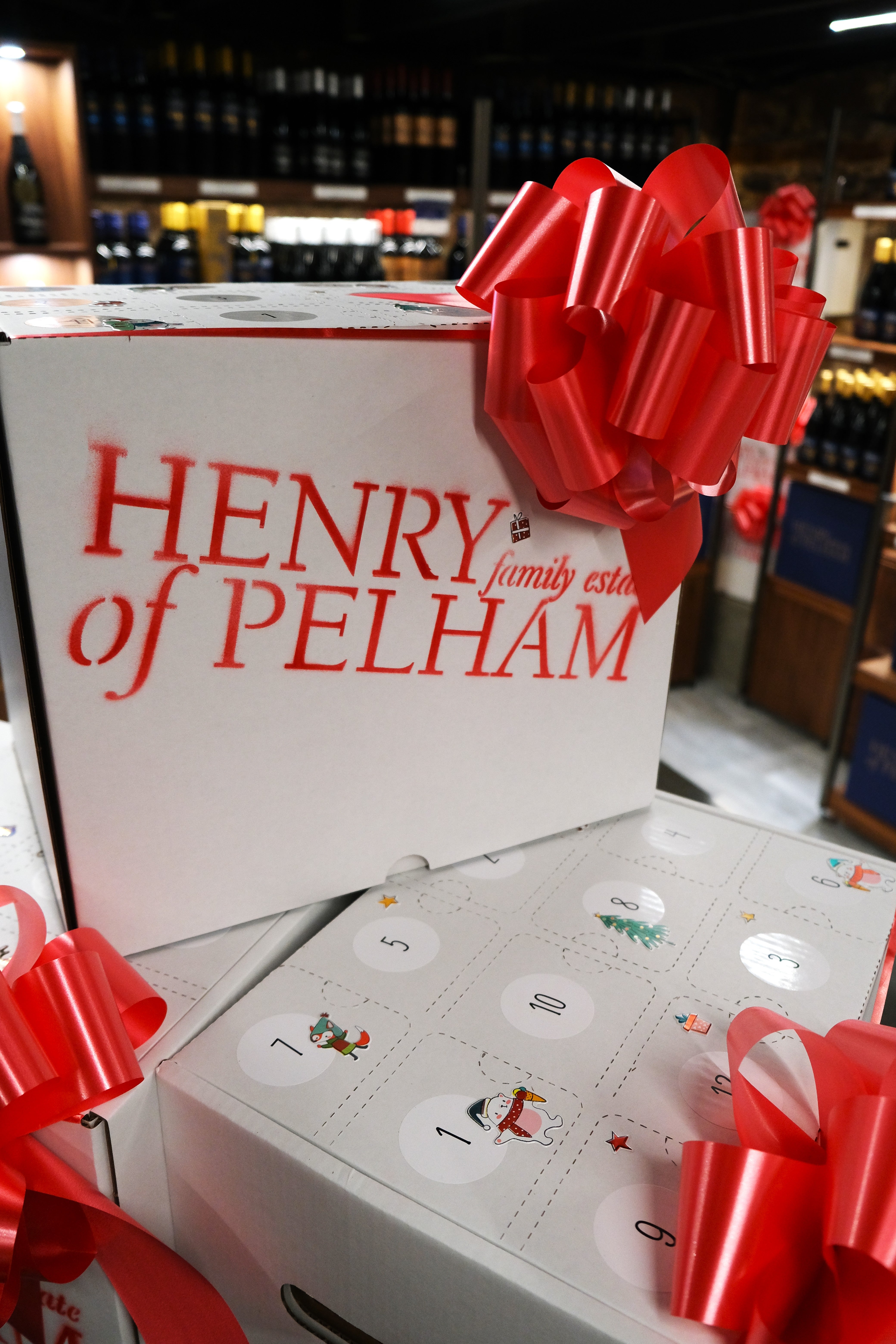 12 Days of Christmas Advent Calendar!