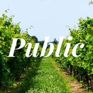 Public Winery Tour
